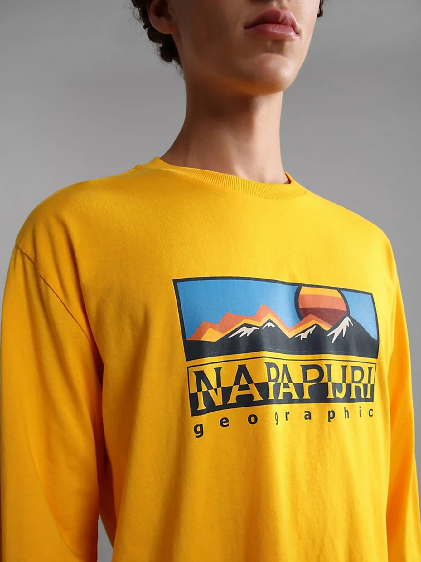 Лонгслив Napapijri  Freestyle модель NP0A4GRMYE11 Фото