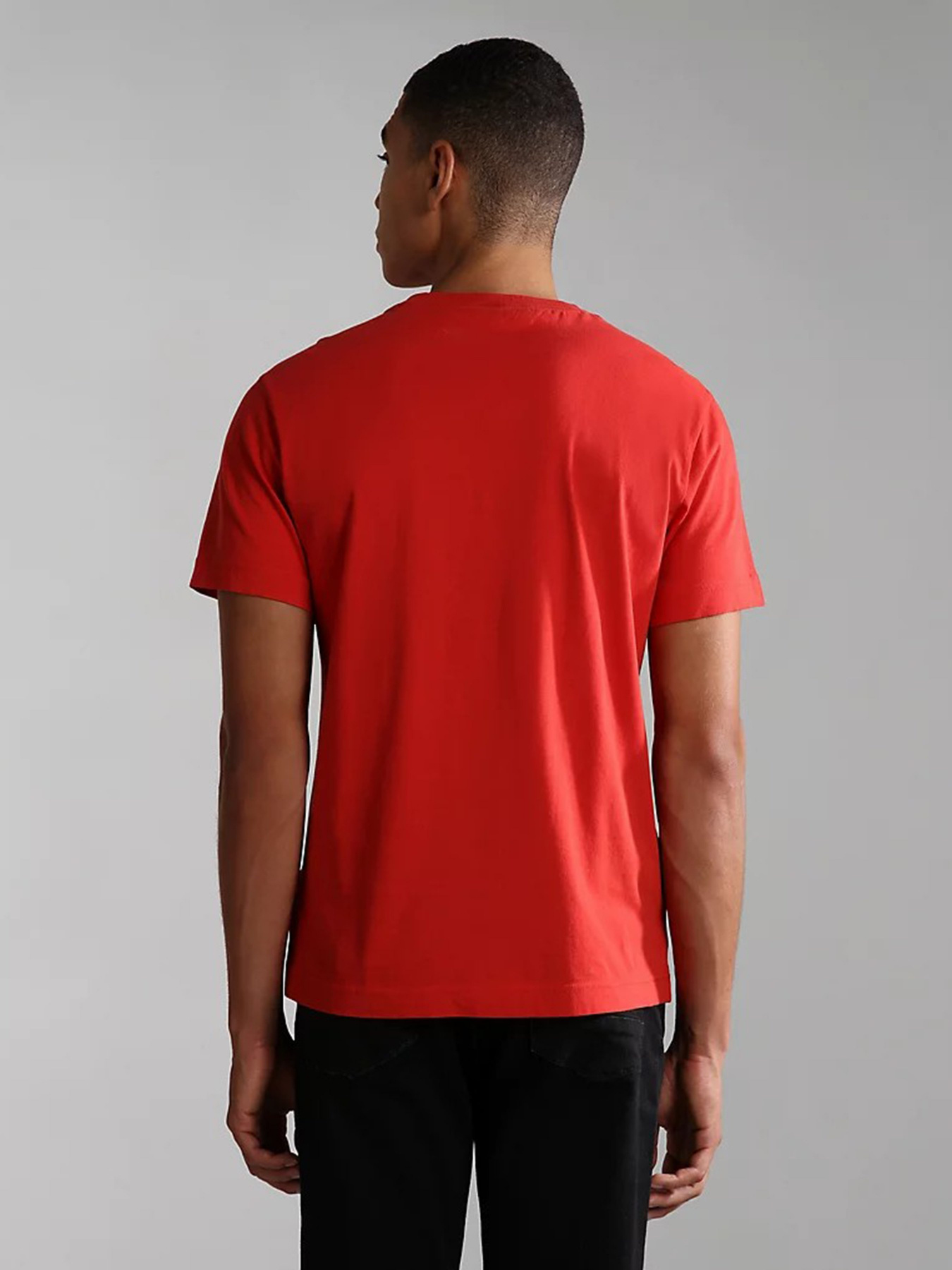 Футболка Napapijri Ayas модель NP0A4GDQRR91 Фото