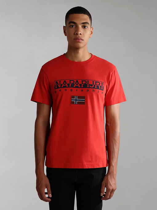 Футболка Napapijri Ayas модель NP0A4GDQRR91 Фото