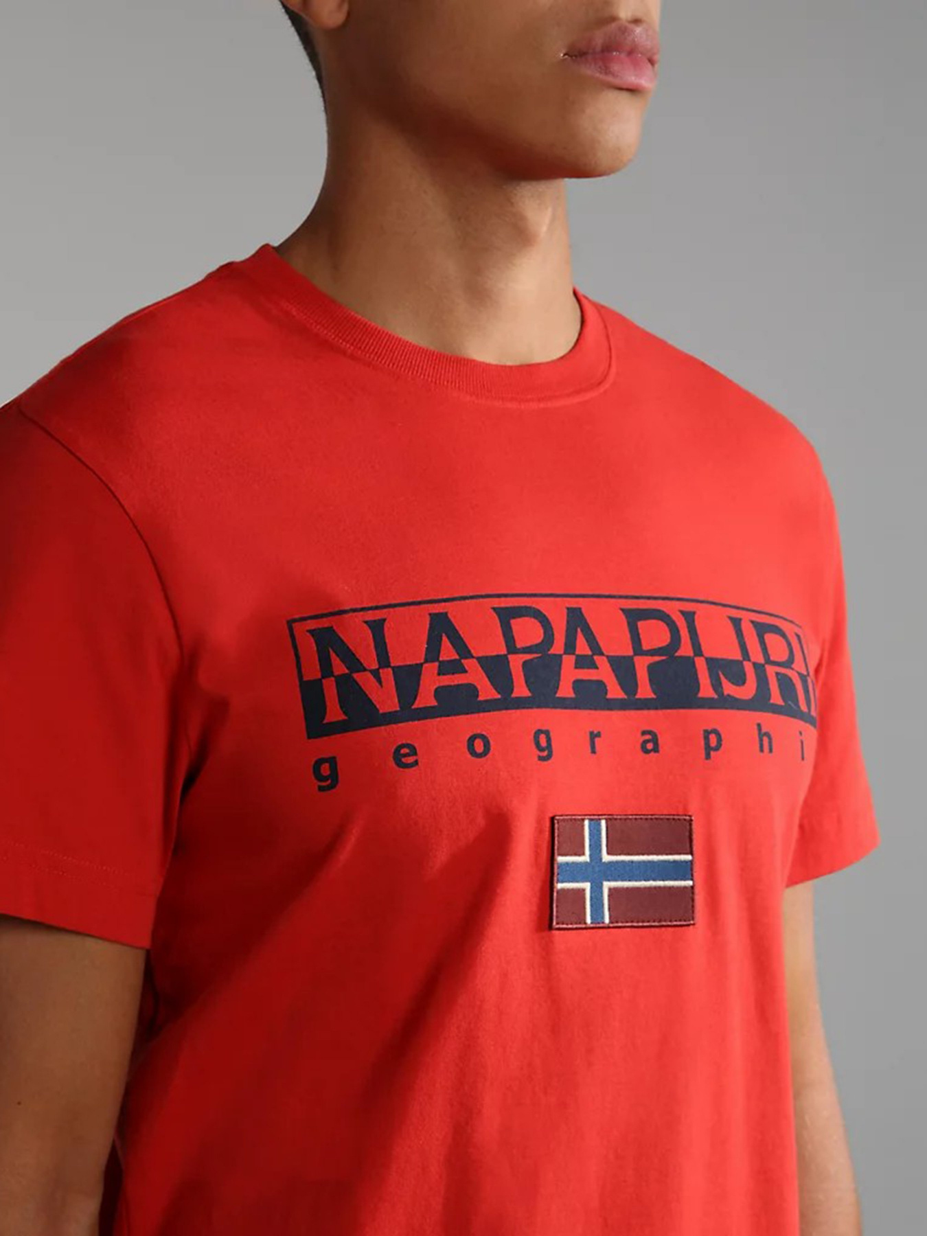 Футболка Napapijri Ayas модель NP0A4GDQRR91 Фото