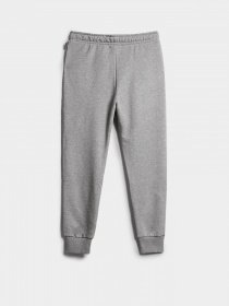 Штаны спортивные Napapijri M-BOX 1 модель NP0A4GBL1601 Фото