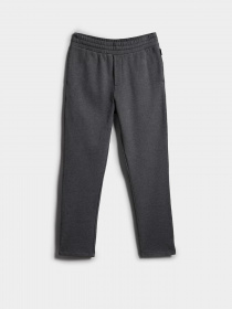 Штаны спортивные Napapijri  Cascade модель NP0A4GP91971 Фото