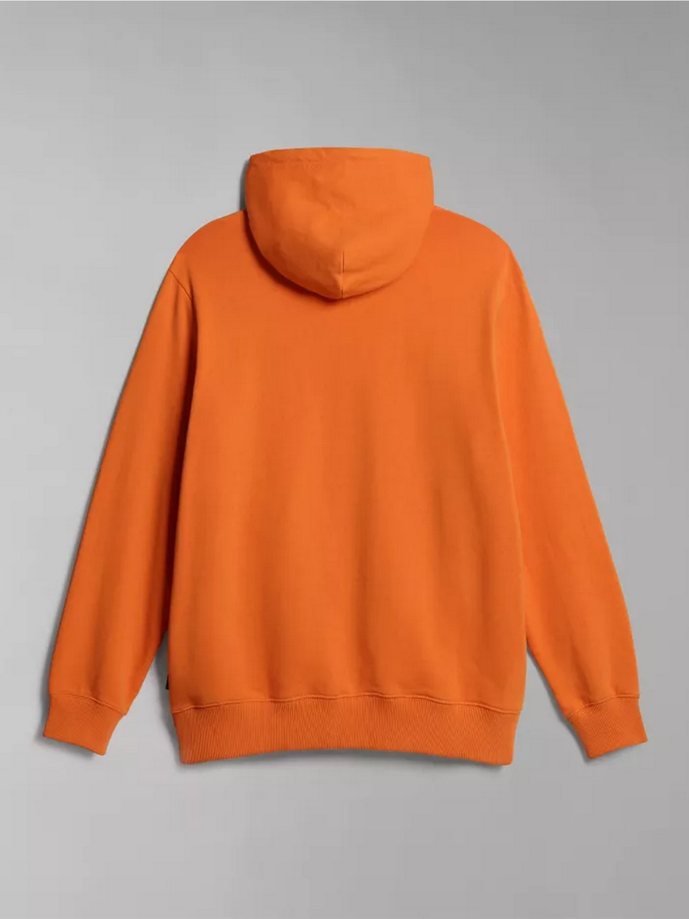 Худі Napapijri B-NAPO H модель NP0A4GZHA1Z1 Фото