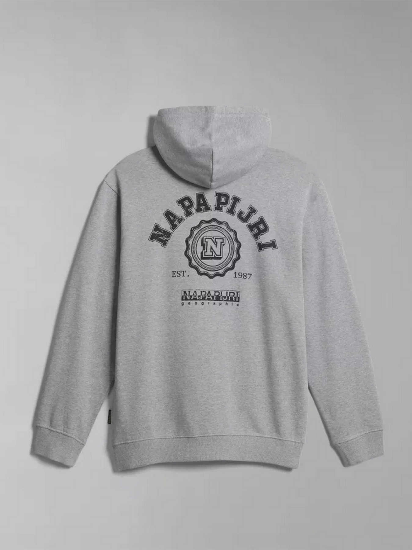 Худи Napapijri B-QUITO H модель NP0A4H5D1601 Фото