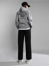 Худі Napapijri B-QUITO H модель NP0A4H5D1601 Фото