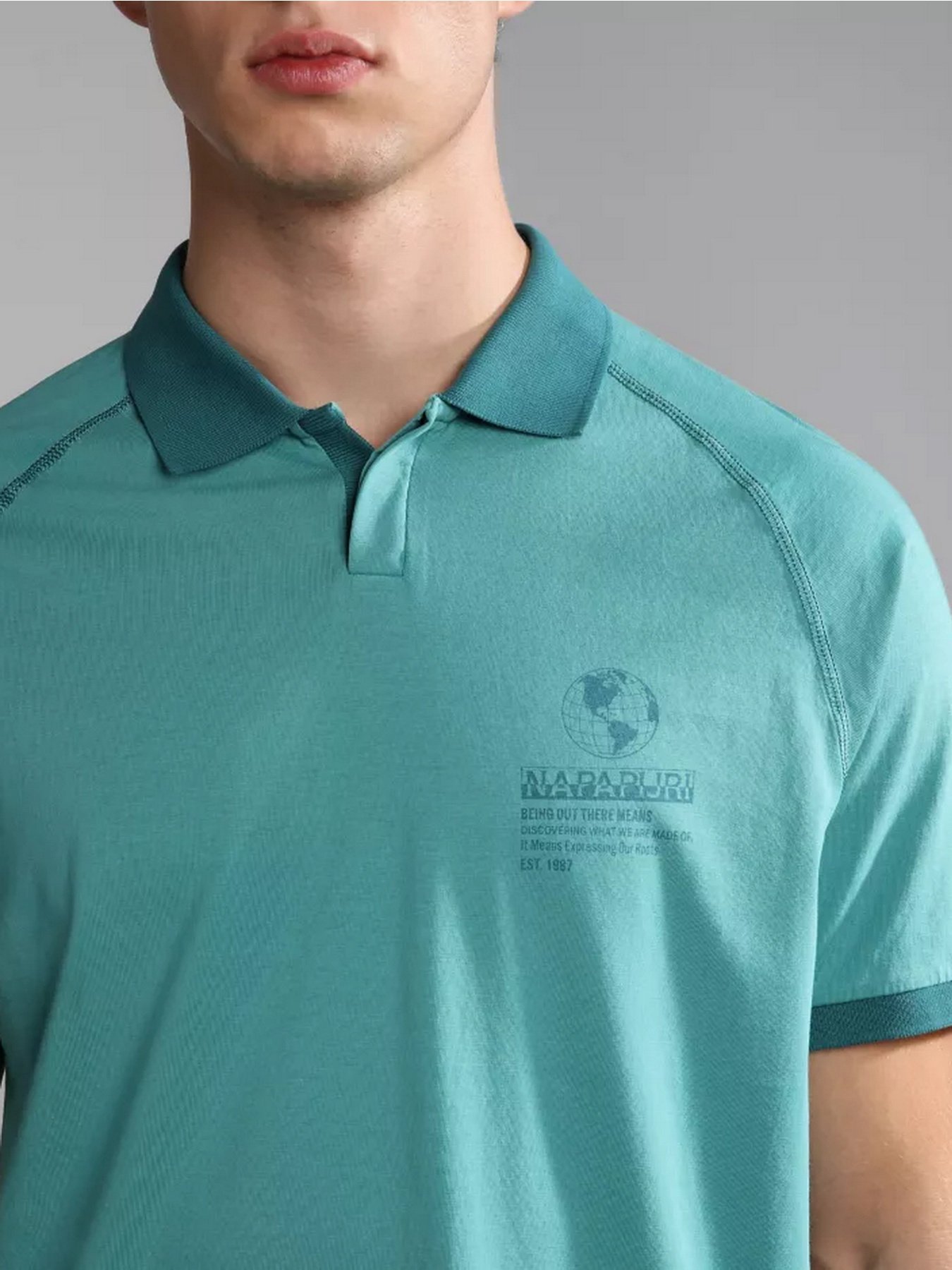 Поло Napapijri E-SANTIAGO SS модель NP0A4H13BAE1 Фото