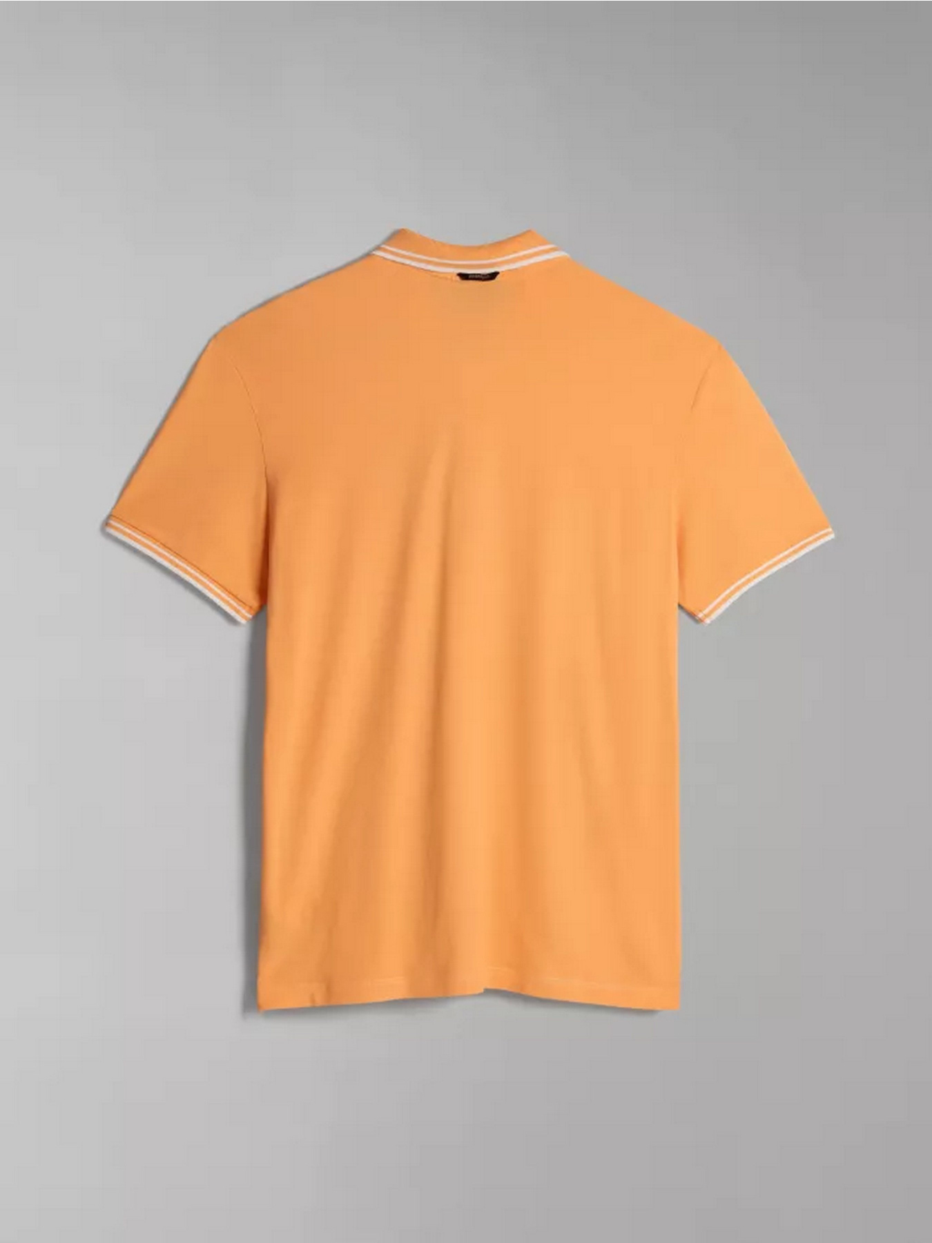 Поло Napapijri E-MACAS SS модель NP0A4H5ZA571 Фото