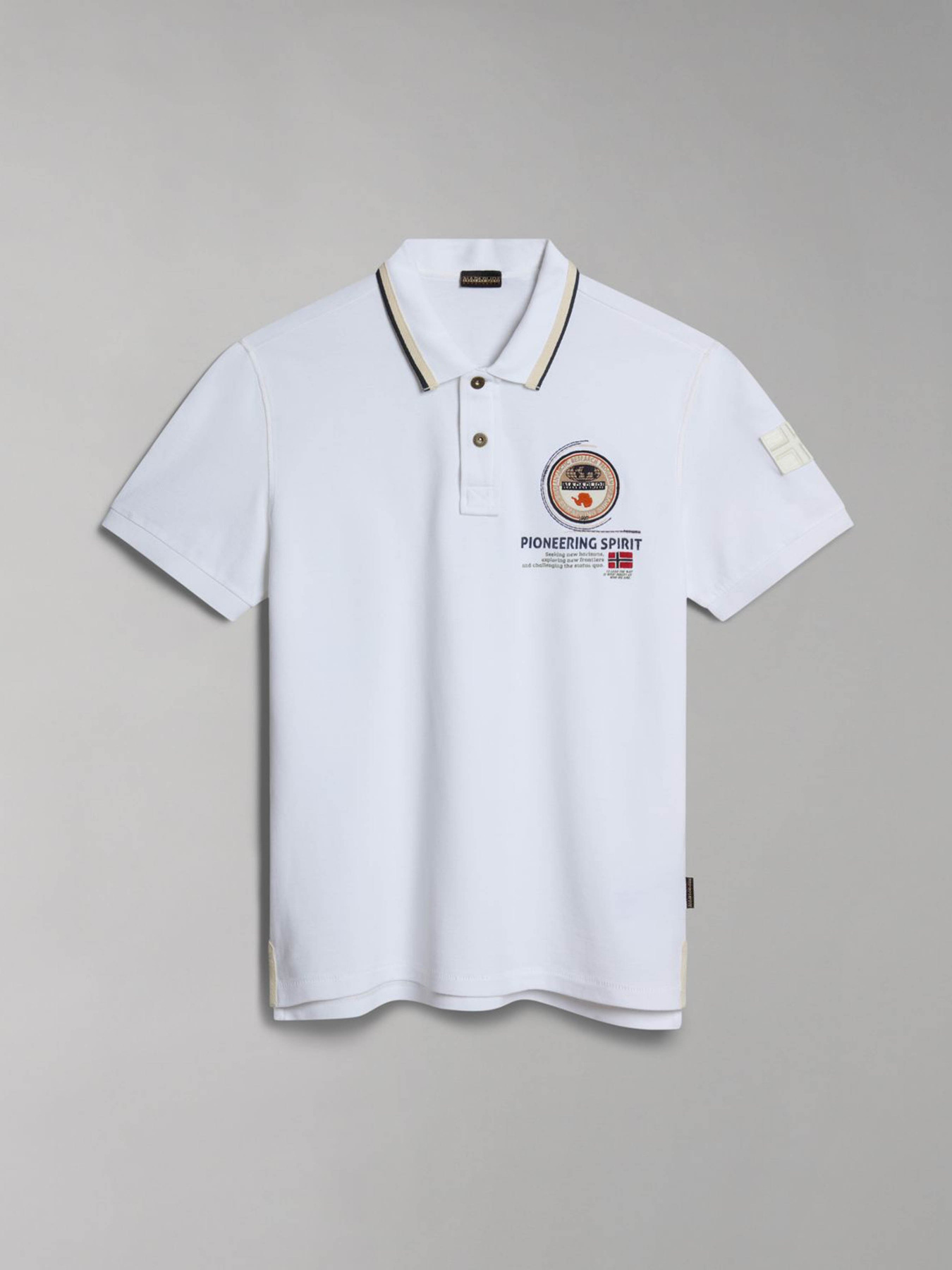 Поло Napapijri GANDY 4 модель NP0A4H8R0021 Фото