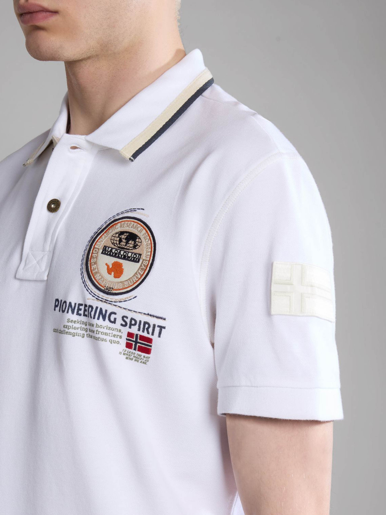 Поло Napapijri GANDY 4 модель NP0A4H8R0021 Фото