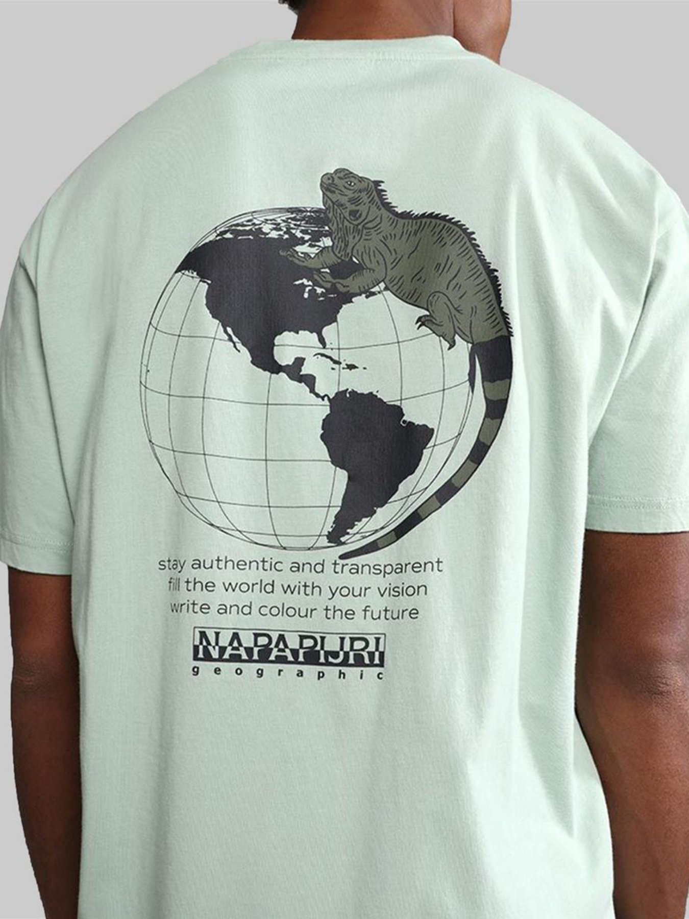 Футболка Napapijri S-JUBONES SS модель NP0A4H23G1E1 Фото