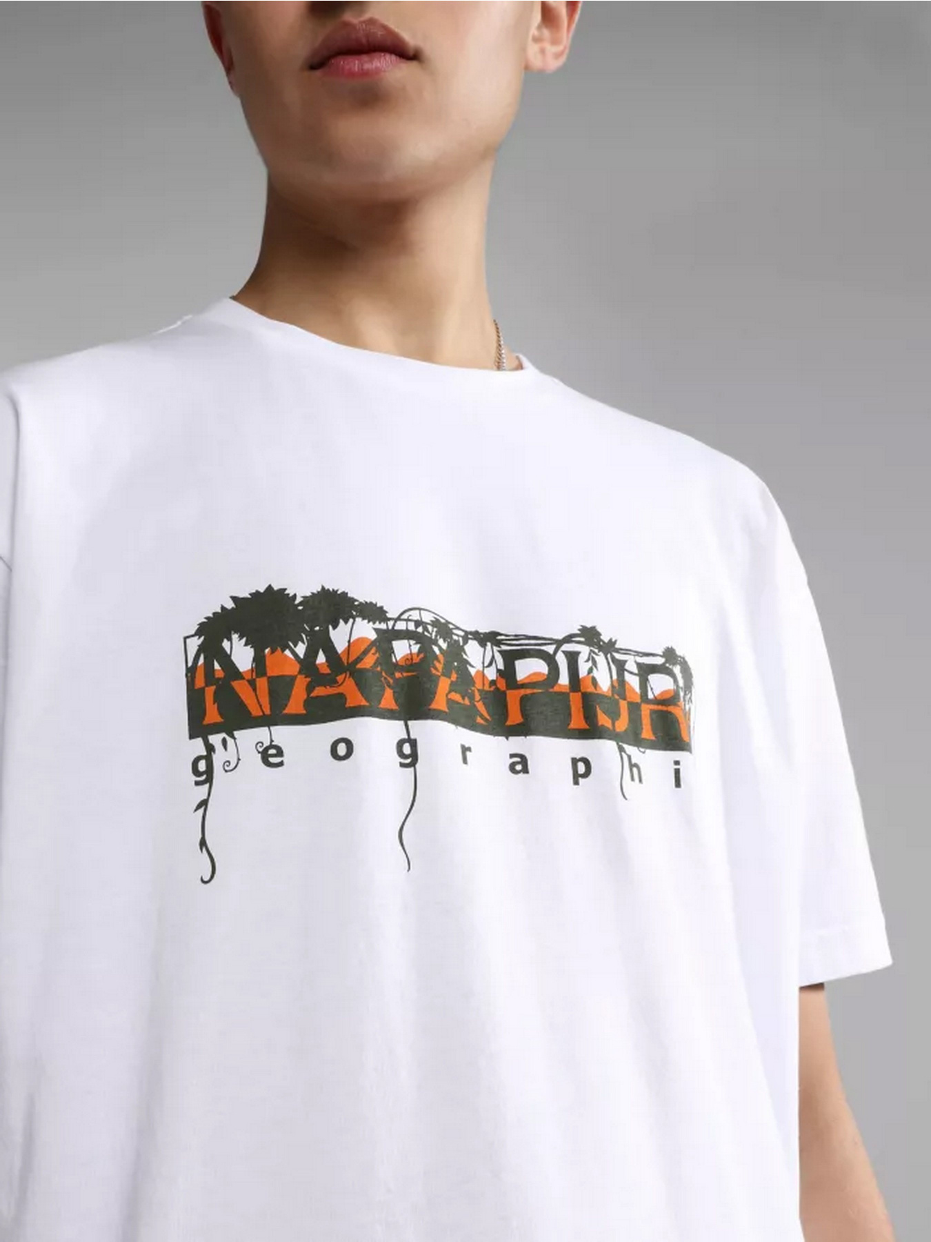 Футболка Napapijri S-PAJAS SS модель NP0A4H270021 Фото