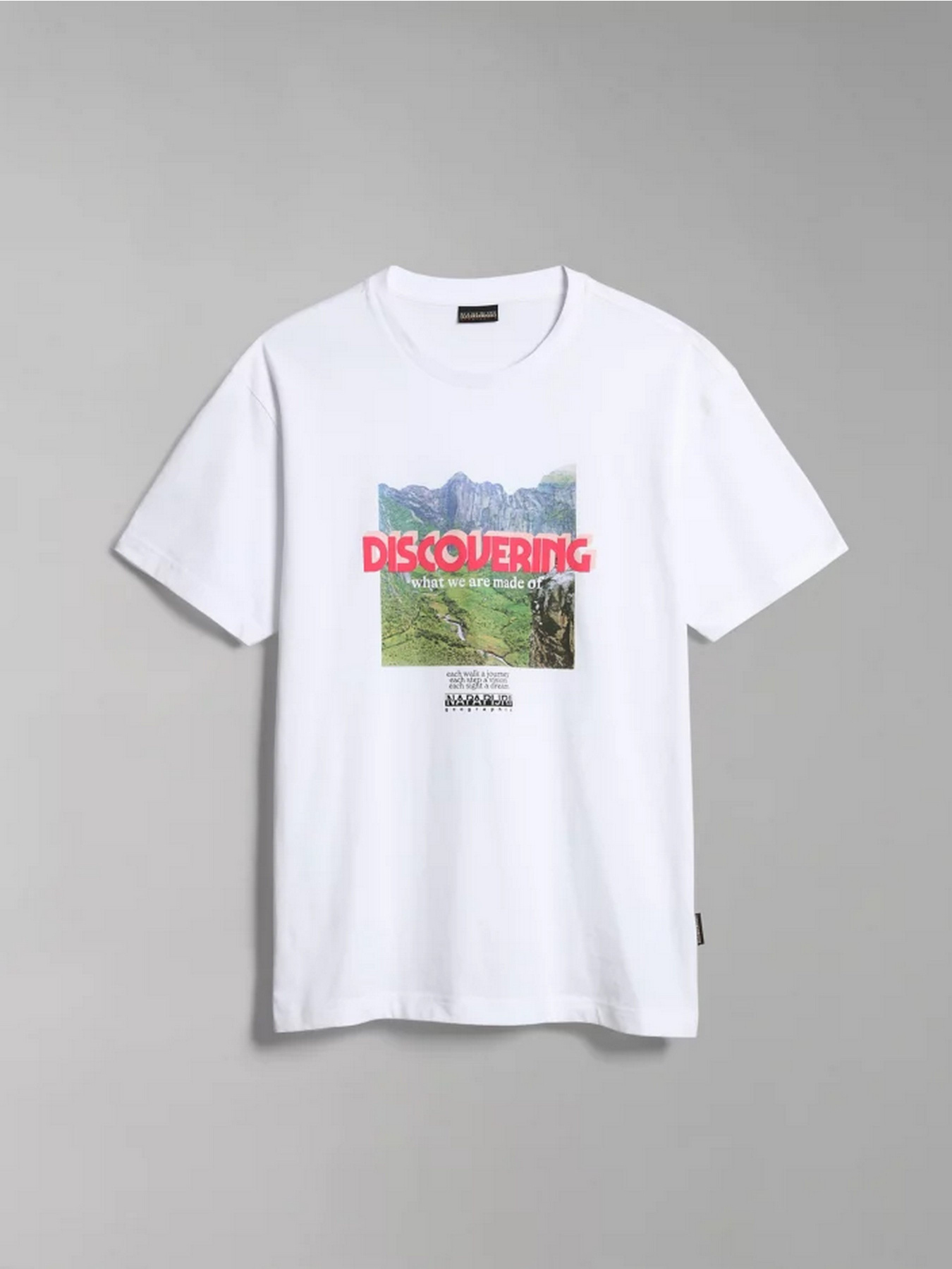 Футболка Napapijri S-BOLIVAR SS модель NP0A4H280021 Фото