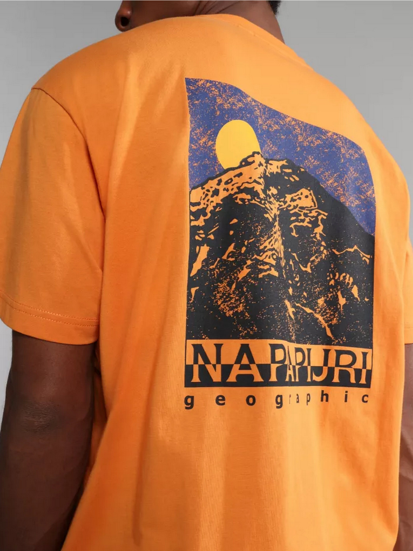 Футболка Napapijri S-BOLIVAR SS модель NP0A4H28A1Z1 Фото