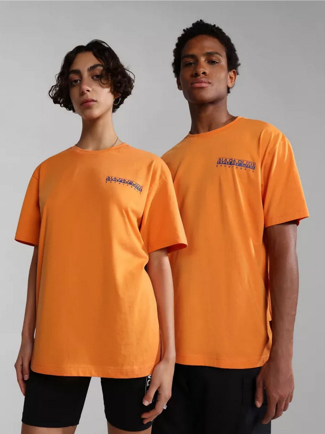 Футболка Napapijri S-BOLIVAR SS модель NP0A4H28A1Z1 Фото