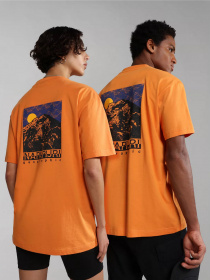 Футболка Napapijri S-BOLIVAR SS модель NP0A4H28A1Z1 Фото