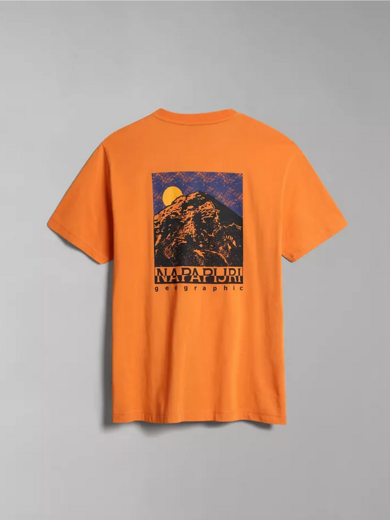 Футболка Napapijri S-BOLIVAR SS модель NP0A4H28A1Z1 Фото