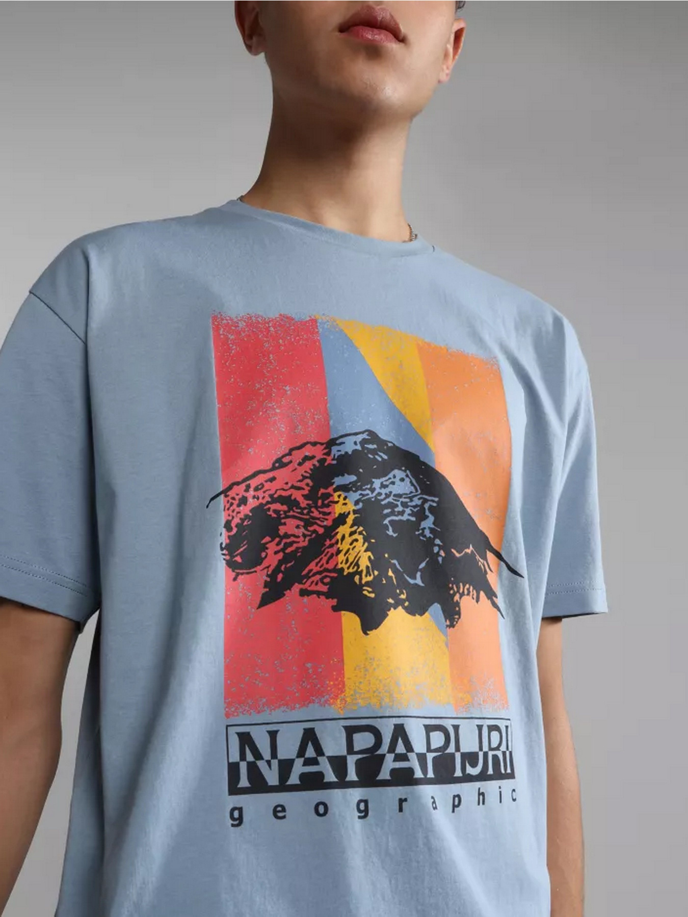 Футболка Napapijri S-BOLIVAR SS модель NP0A4H28B2B1 Фото