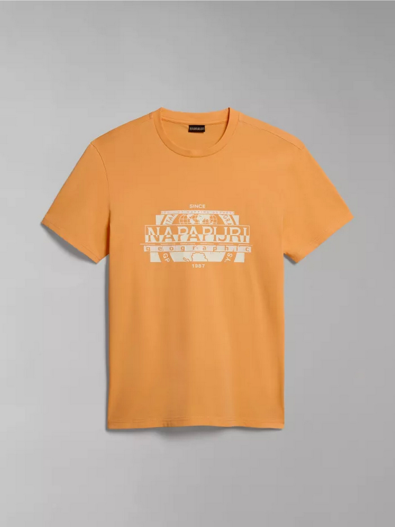 Футболка Napapijri S-MANTA SS модель NP0A4H2CA571 Фото