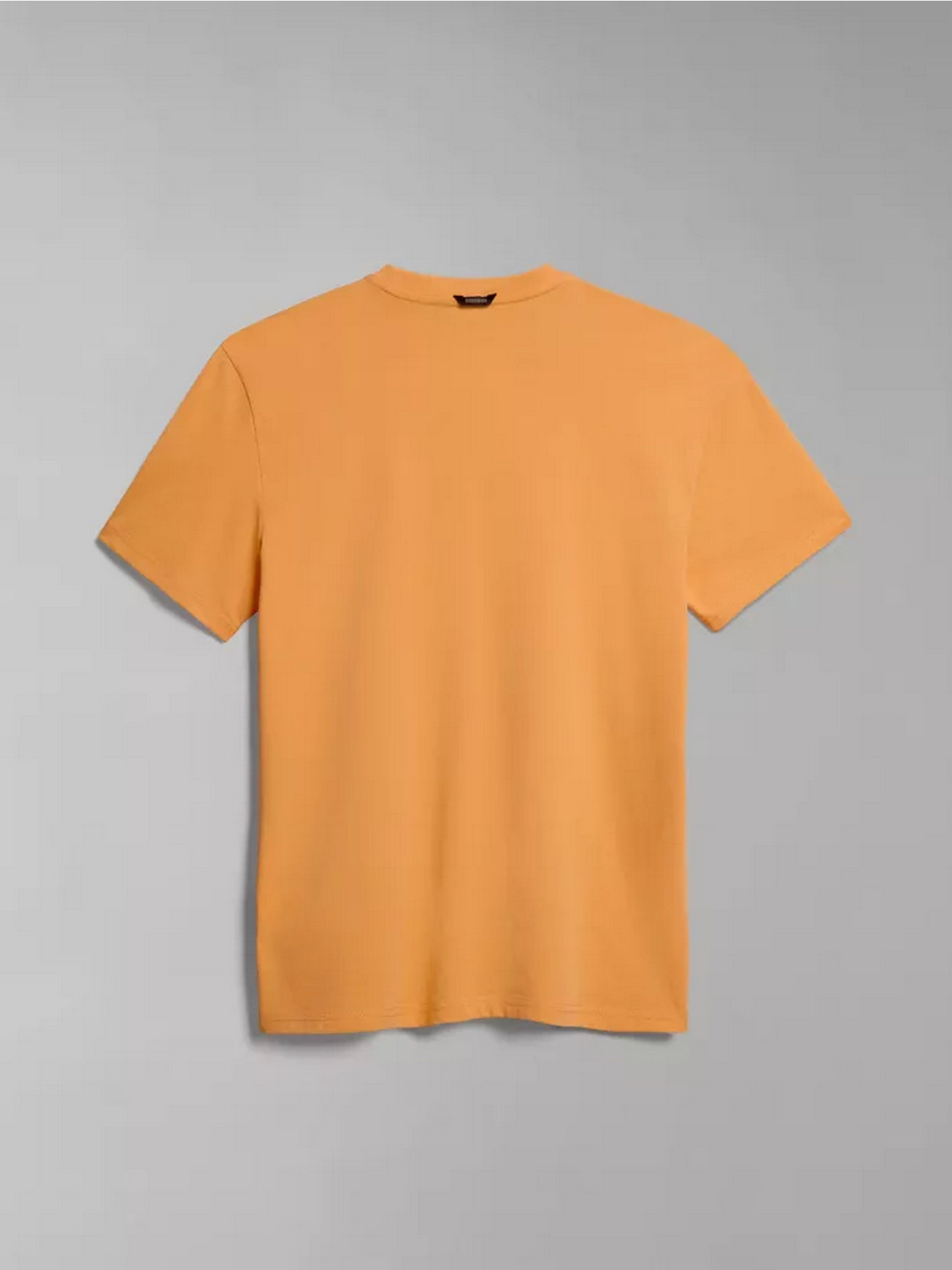 Футболка Napapijri S-MANTA SS модель NP0A4H2CA571 Фото