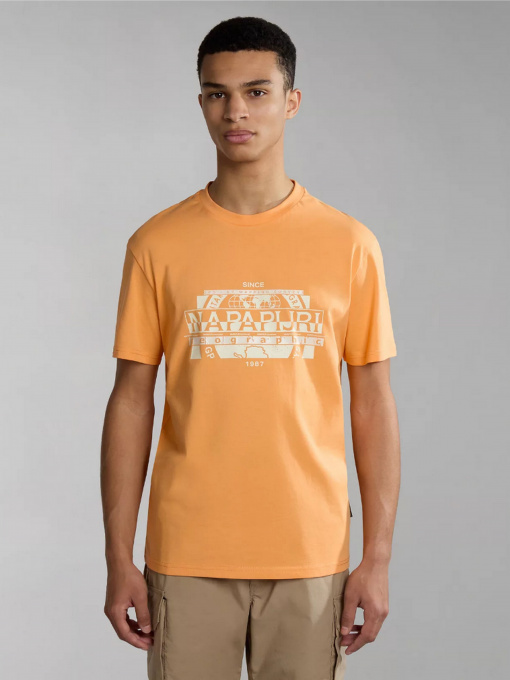 Футболка Napapijri S-MANTA SS модель NP0A4H2CA571 Фото