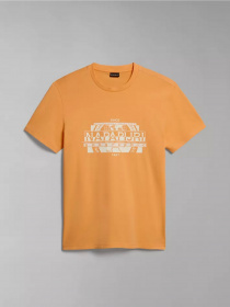 Футболка Napapijri S-MANTA SS модель NP0A4H2CA571 Фото