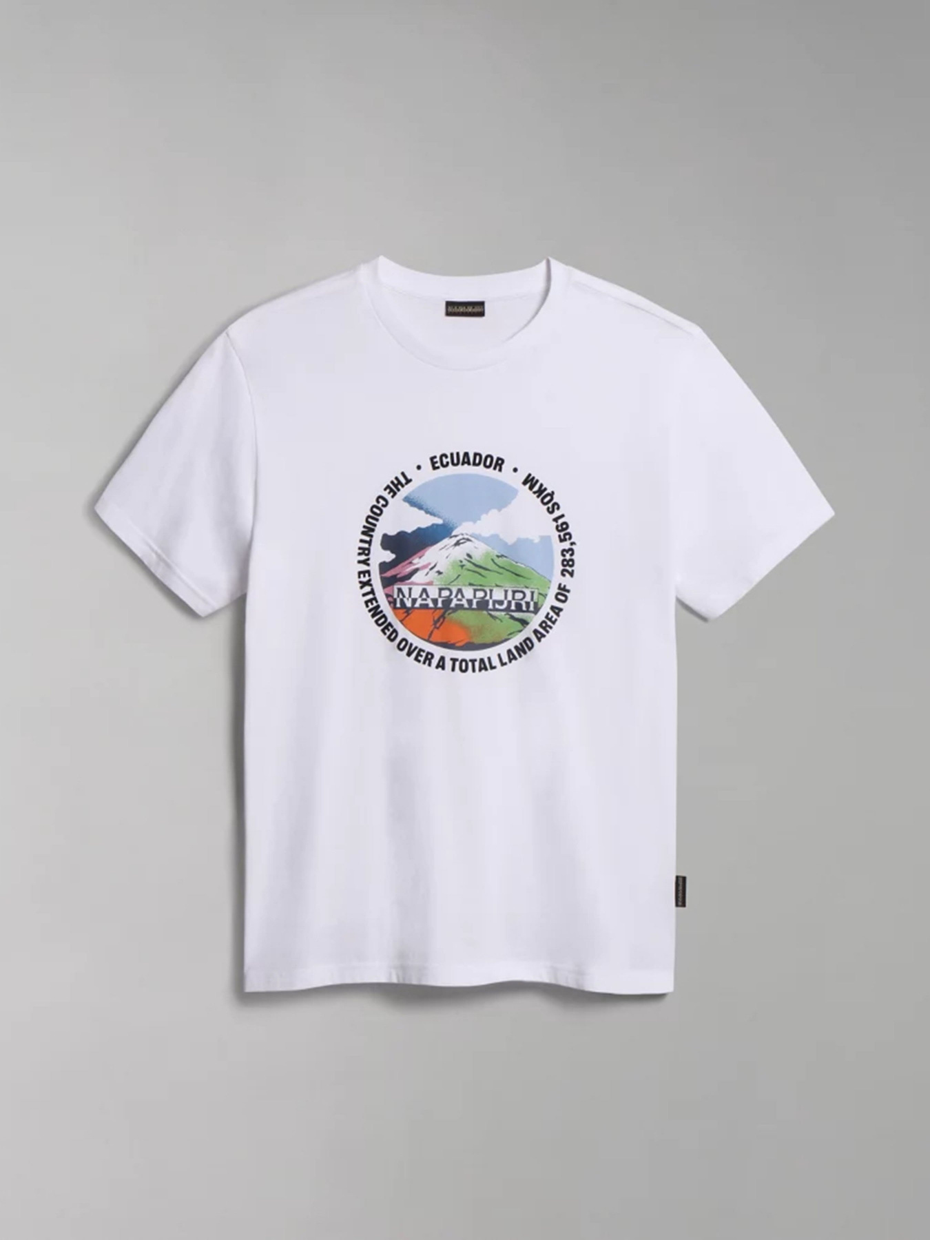 Футболка Napapijri S-SANGAY SS модель NP0A4H2D0021 Фото