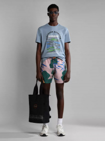 Футболка Napapijri S-SANGAY SS модель NP0A4H2DB2B1 Фото