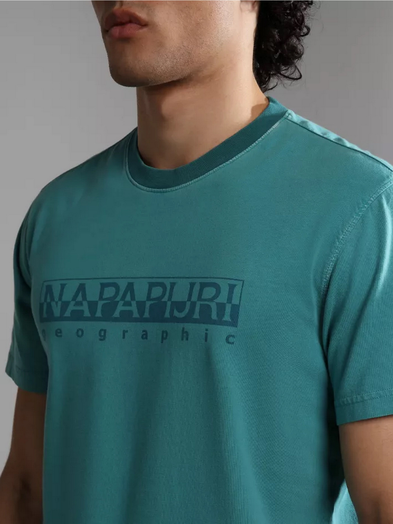 Футболка Napapijri S-SANTIAGO SS модель NP0A4H2JBAE1 Фото