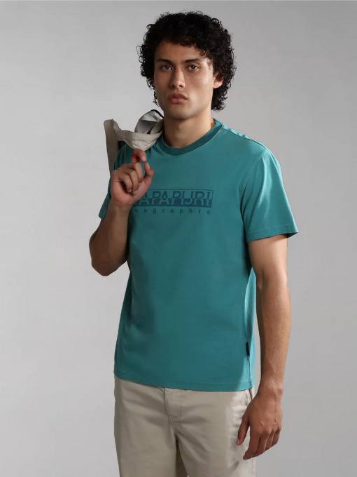 Футболка Napapijri S-SANTIAGO SS модель NP0A4H2JBAE1 Фото