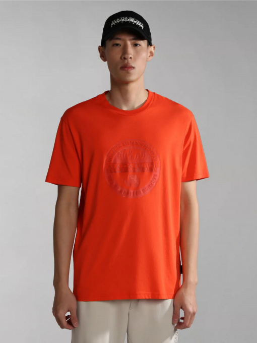 Футболка Napapijri S-BOLLO SS 1 модель NP0A4H9KR051 Фото