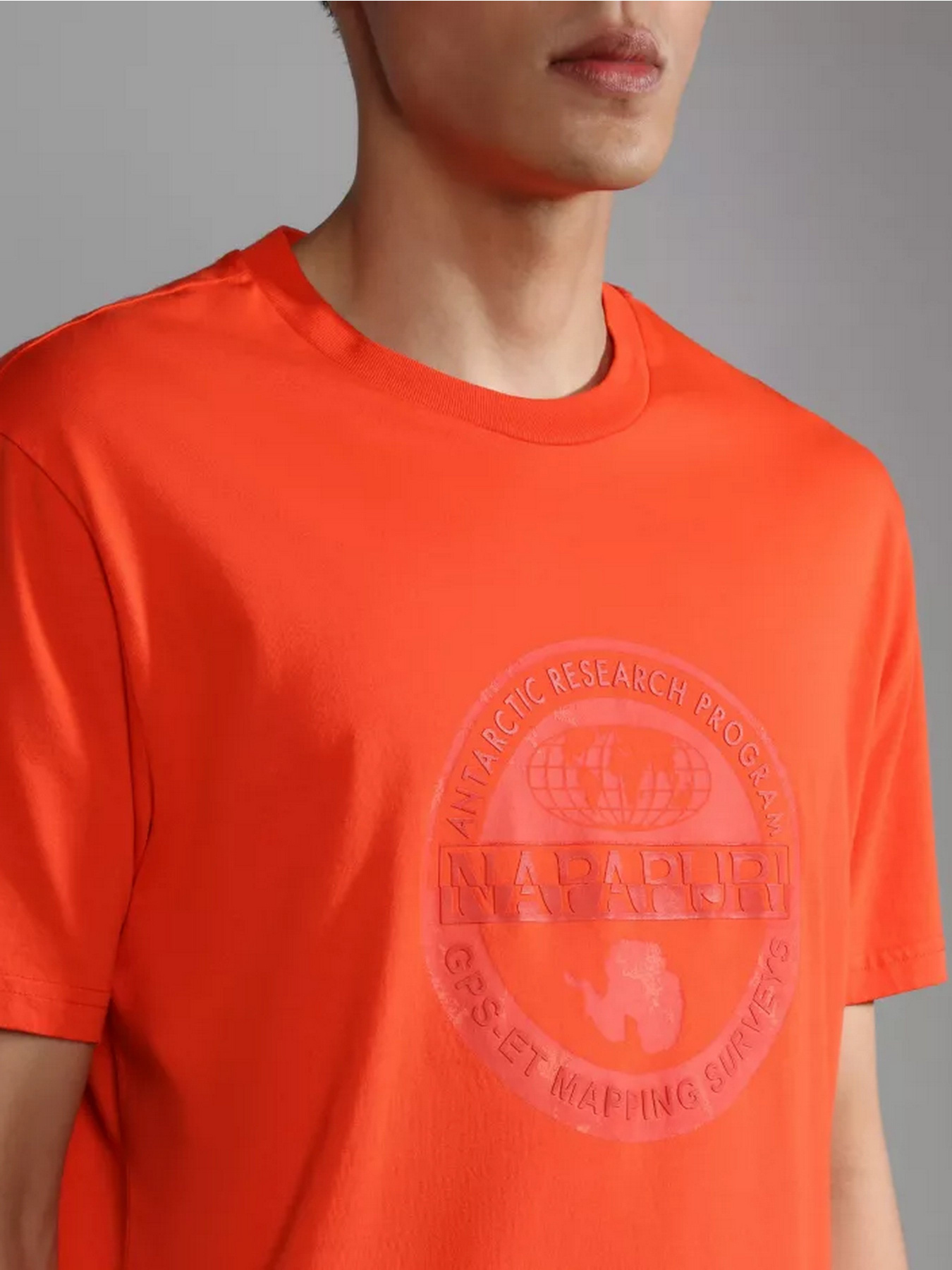 Футболка Napapijri S-BOLLO SS 1 модель NP0A4H9KR051 Фото