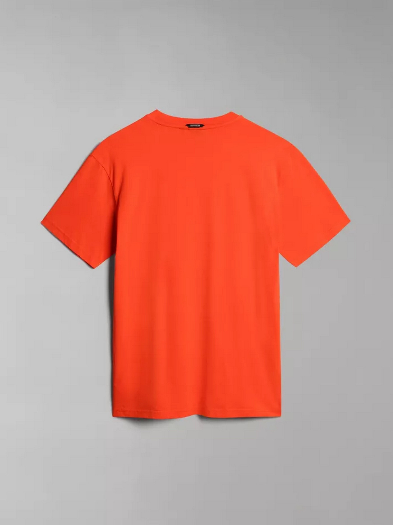 Футболка Napapijri S-BOLLO SS 1 модель NP0A4H9KR051 Фото