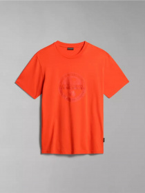 Футболка Napapijri S-BOLLO SS 1 модель NP0A4H9KR051 Фото