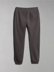 Штаны спортивные Napapijri M-SANTIAGO модель NP0A4H5YH311 Фото