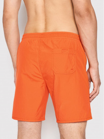 Повсякденні шорти Napapijri V-MORGEX модель NP0A4GAIA1Z1 Фото