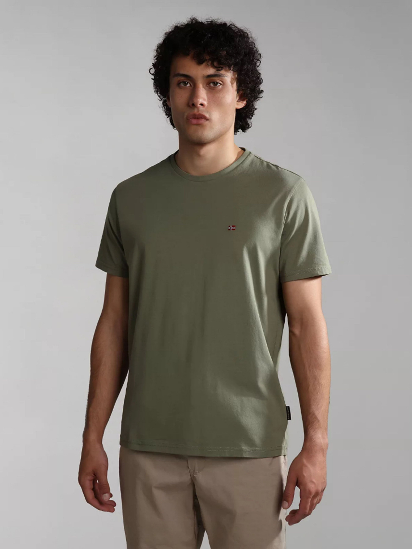 Футболка Napapijri SALIS SS модель NP0A4H8DGAE1 Фото