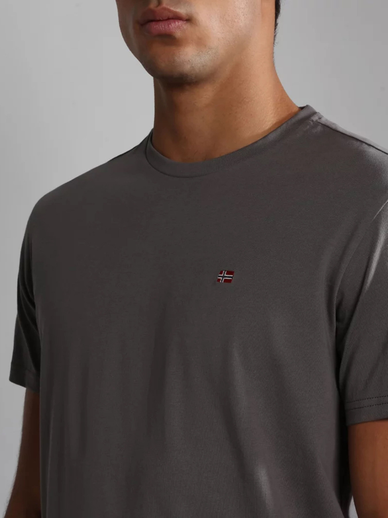 Футболка Napapijri SALIS SS модель NP0A4H8DH311 Фото