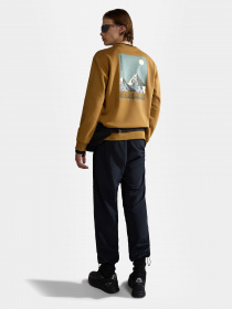 Свитшот Napapijri Telemark модель NP0A4HN1N971 Фото