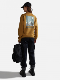 Свитшот Napapijri Telemark модель NP0A4HN1N971 Фото