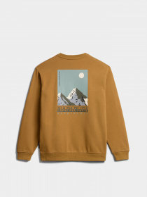 Свитшот Napapijri Telemark модель NP0A4HN1N971 Фото