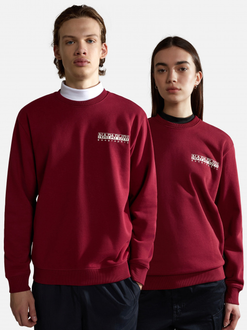 Світшот Napapijri Telemark модель NP0A4HN1R541 Фото