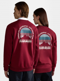 Світшот Napapijri Telemark модель NP0A4HN1R541 Фото