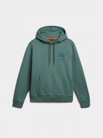 Худи Napapijri Bollo модель NP0A4HE4G1L1 Фото