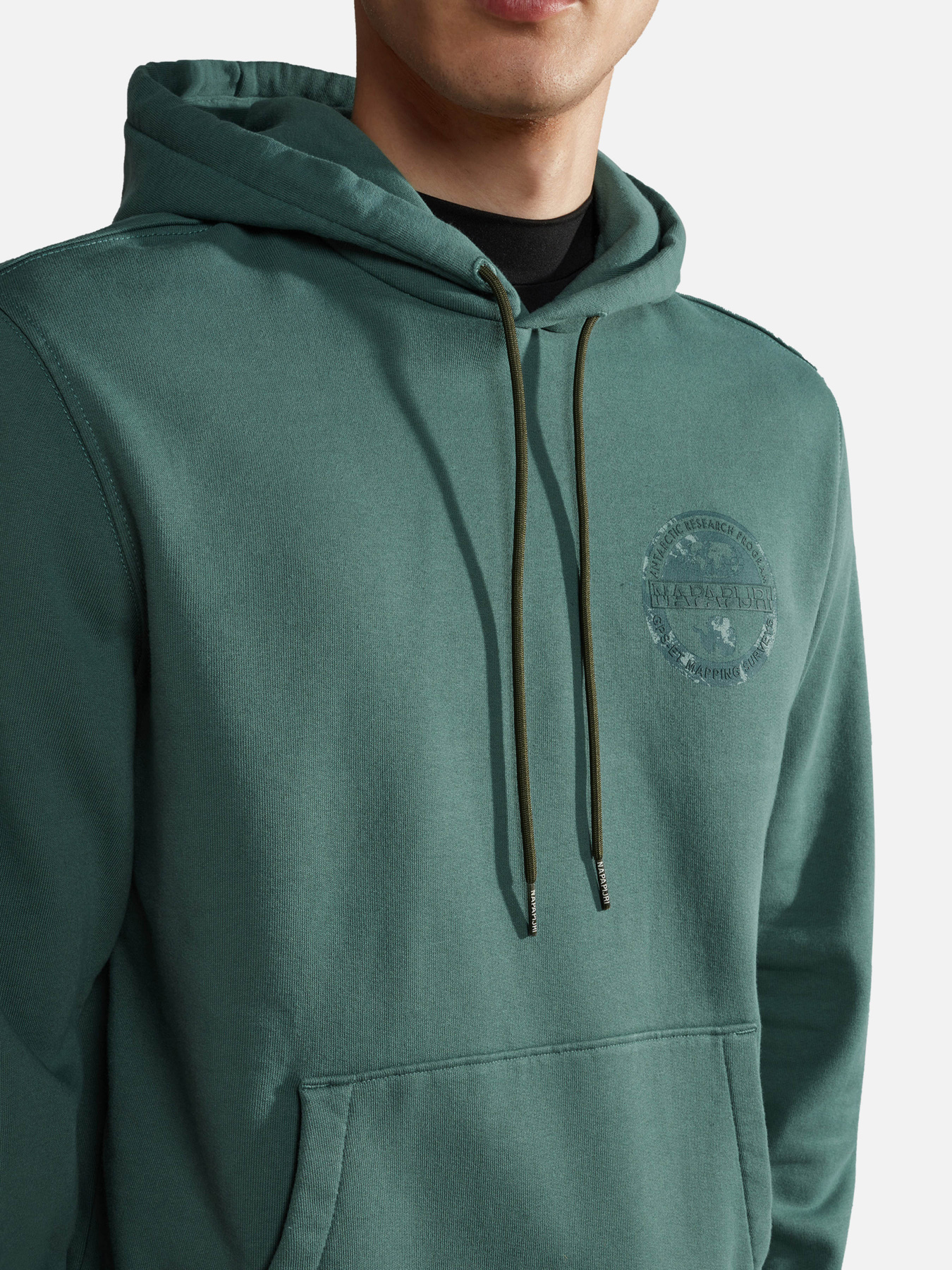 Худі Napapijri Bollo модель NP0A4HE4G1L1 Фото