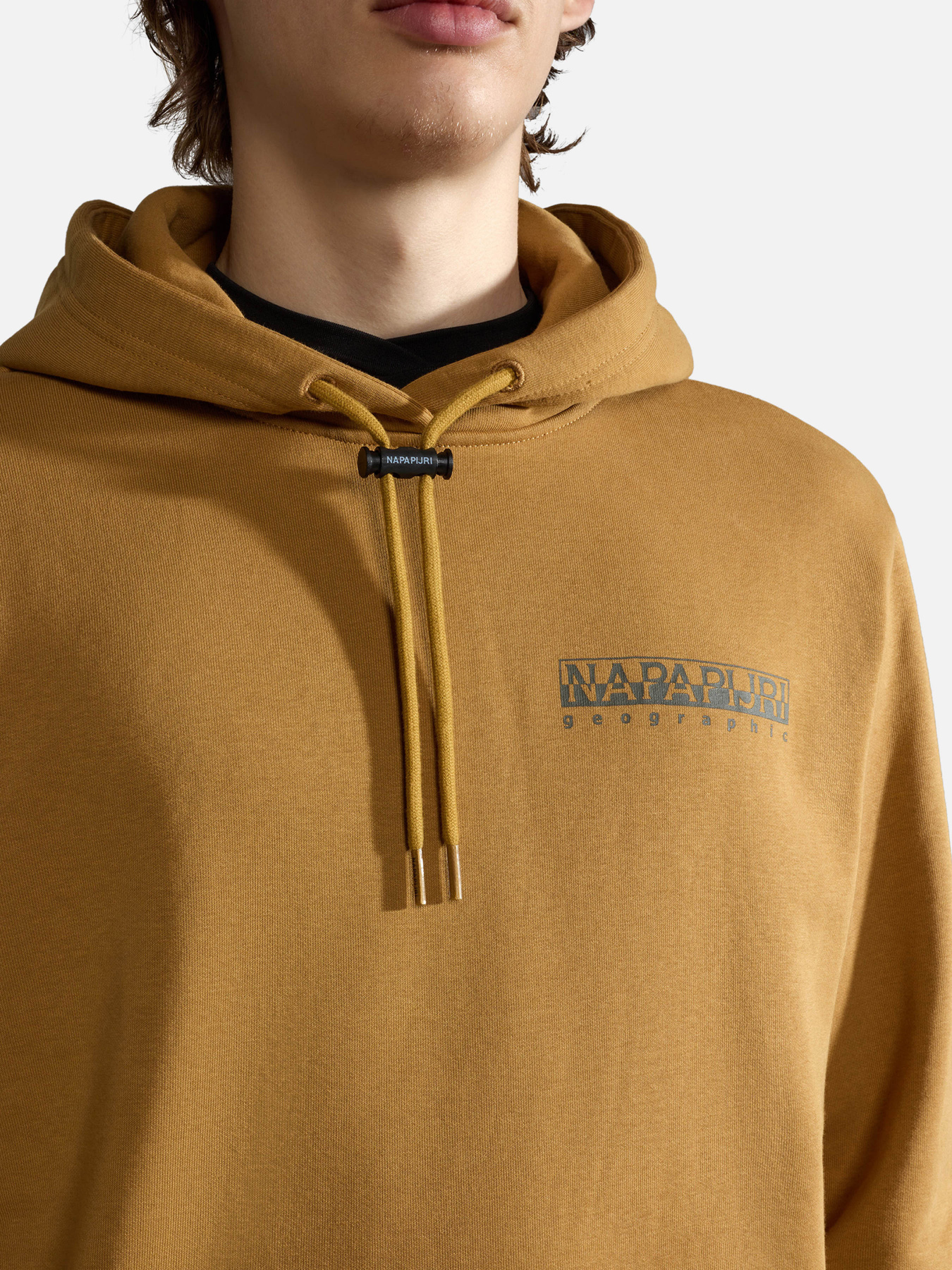 Худи Napapijri Telemark модель NP0A4HRBN971 Фото