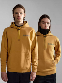 Худи Napapijri Telemark модель NP0A4HRBN971 Фото