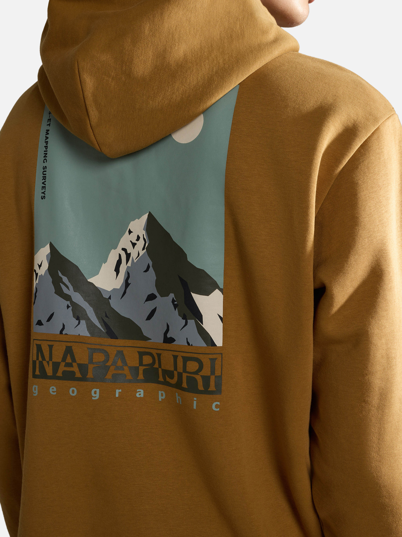 Худі Napapijri Telemark модель NP0A4HRBN971 Фото