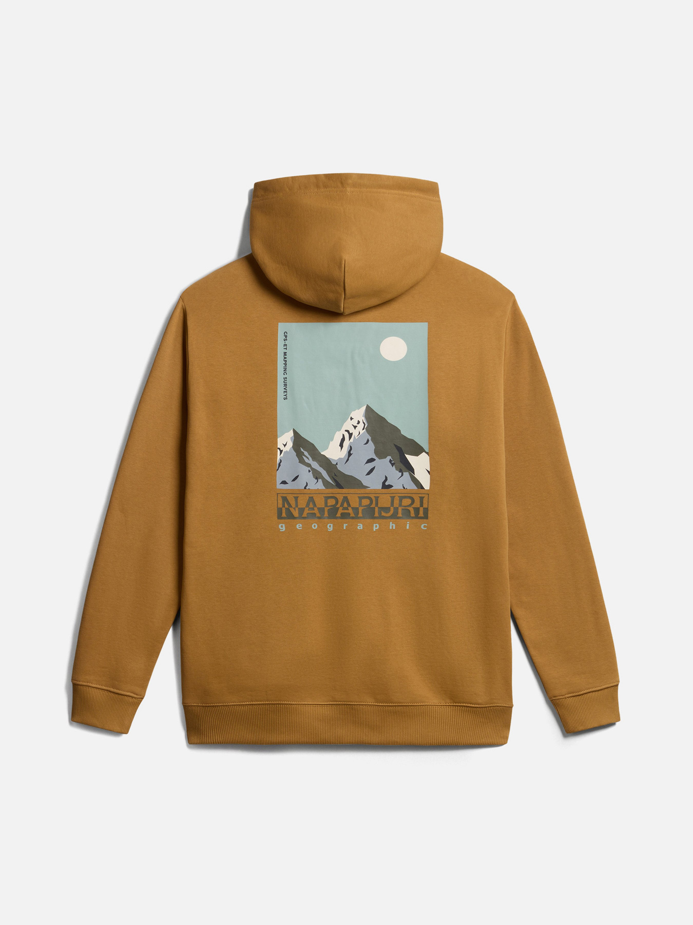 Худі Napapijri Telemark модель NP0A4HRBN971 Фото