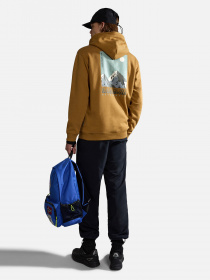 Худі Napapijri Telemark модель NP0A4HRBN971 Фото