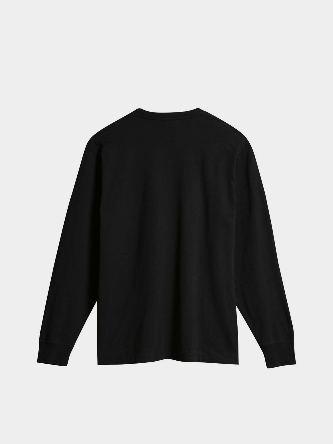 Лонгслив Napapijri Box модель NP0A4GK70411 Фото